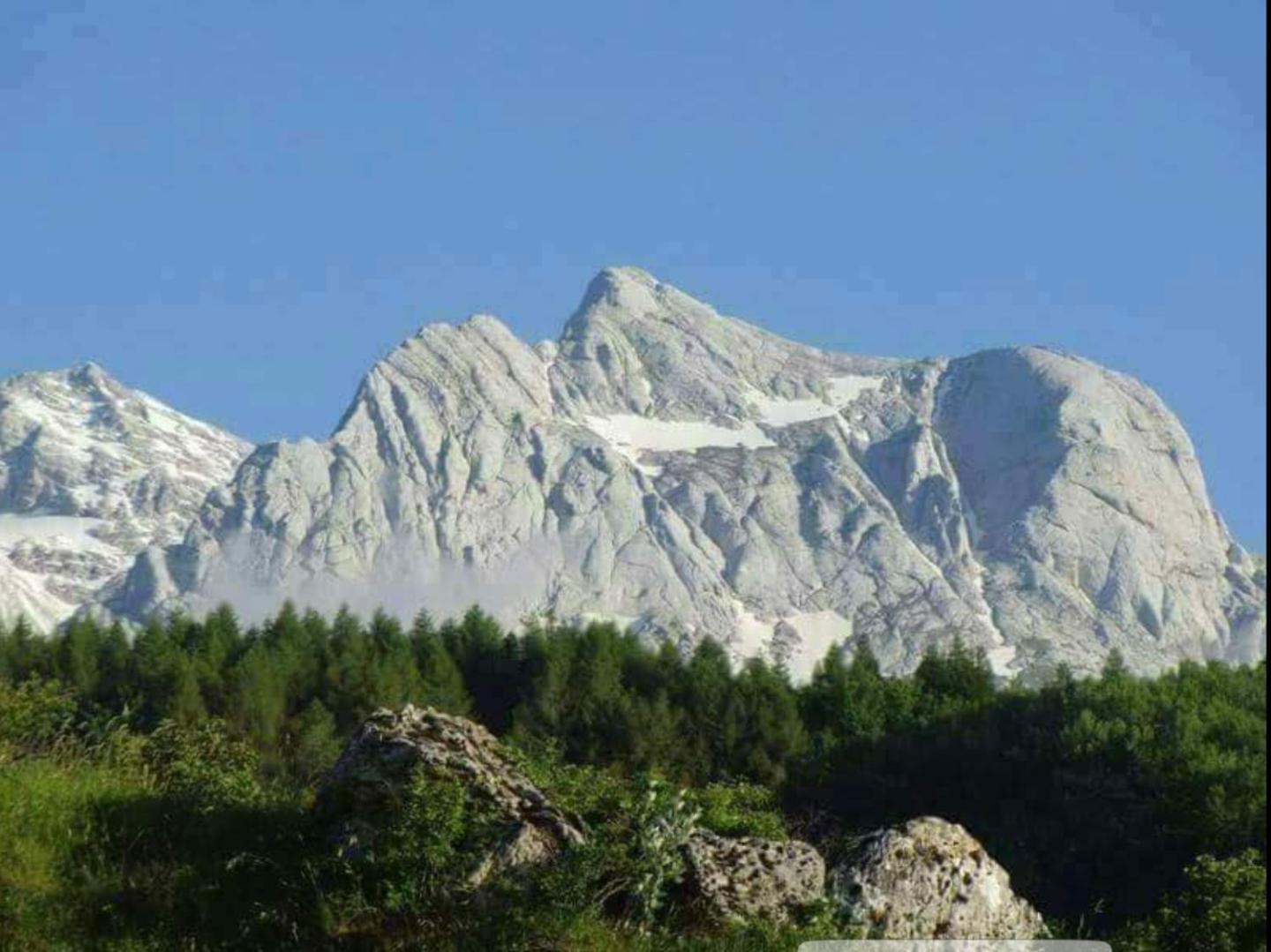 Villa Giuseppe Roseto Degli Abruzzi Eksteriør bilde